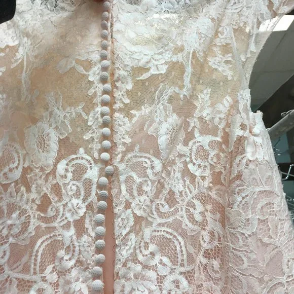 BLUSH Champagne Lace Rustic Wedding Dress, Cap Sleeve, Boat Neck Elegant Mother - Picture 9 of 15